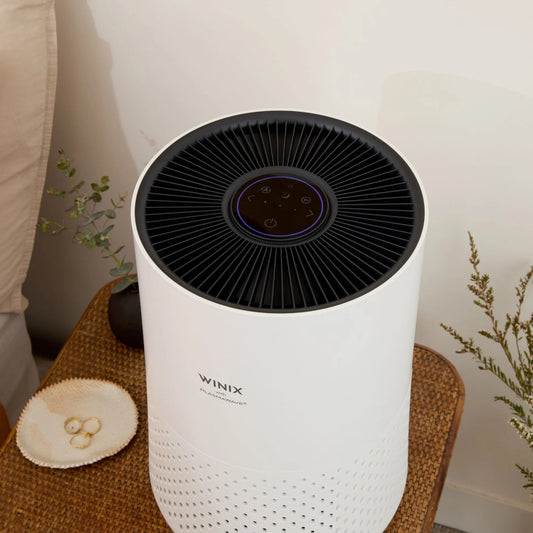 Compact Air Purifier for Home